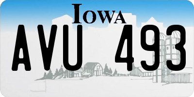 IA license plate AVU493