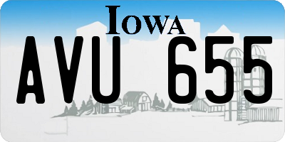 IA license plate AVU655