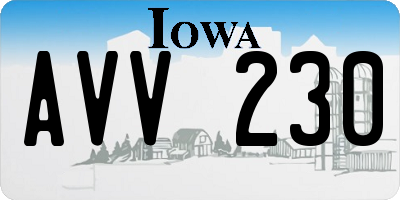 IA license plate AVV230