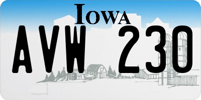 IA license plate AVW230
