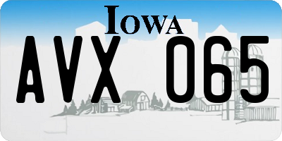 IA license plate AVX065
