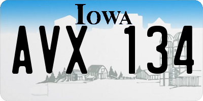 IA license plate AVX134