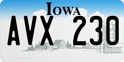 IA license plate AVX230