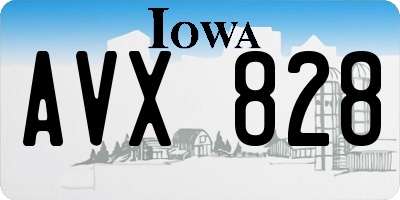 IA license plate AVX828