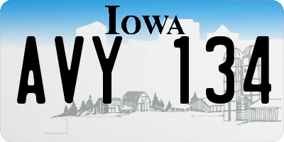 IA license plate AVY134