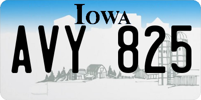 IA license plate AVY825