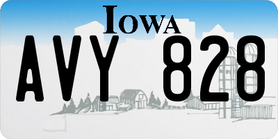 IA license plate AVY828