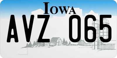 IA license plate AVZ065