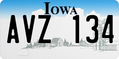 IA license plate AVZ134