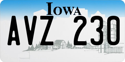 IA license plate AVZ230