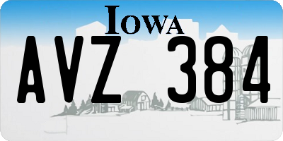 IA license plate AVZ384