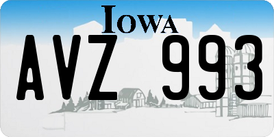 IA license plate AVZ993