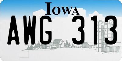 IA license plate AWG313