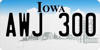 IA license plate AWJ300