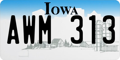 IA license plate AWM313