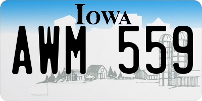 IA license plate AWM559