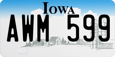 IA license plate AWM599