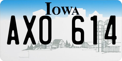 IA license plate AXO614
