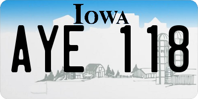 IA license plate AYE118