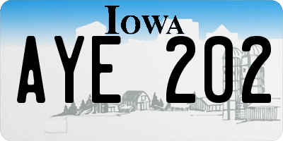 IA license plate AYE202