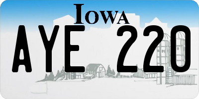 IA license plate AYE220