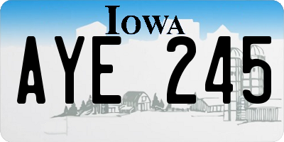IA license plate AYE245