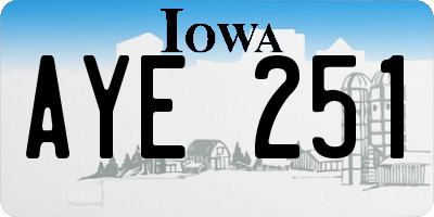 IA license plate AYE251