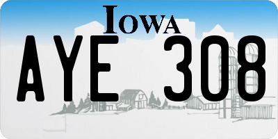 IA license plate AYE308