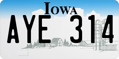 IA license plate AYE314