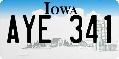 IA license plate AYE341
