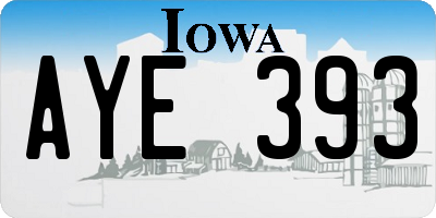 IA license plate AYE393
