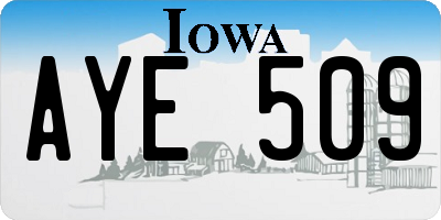 IA license plate AYE509