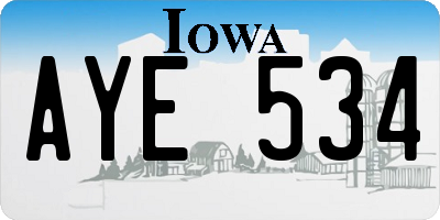 IA license plate AYE534
