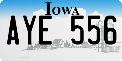 IA license plate AYE556