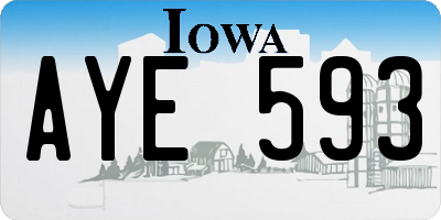 IA license plate AYE593