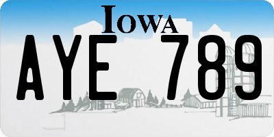 IA license plate AYE789