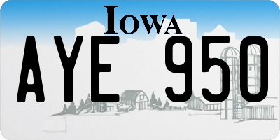 IA license plate AYE950