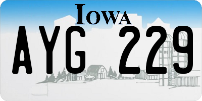 IA license plate AYG229