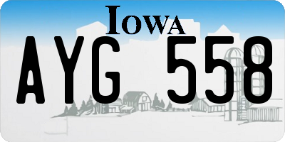 IA license plate AYG558