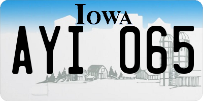 IA license plate AYI065