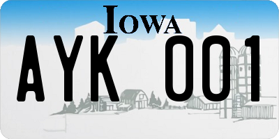 IA license plate AYK001