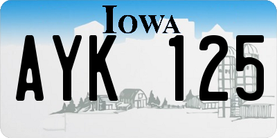 IA license plate AYK125