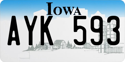 IA license plate AYK593