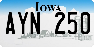 IA license plate AYN250