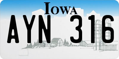 IA license plate AYN316