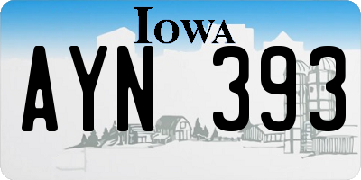 IA license plate AYN393
