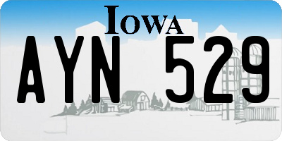 IA license plate AYN529