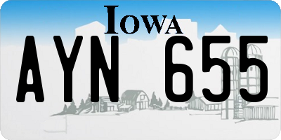IA license plate AYN655