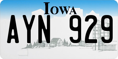 IA license plate AYN929