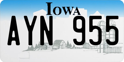 IA license plate AYN955